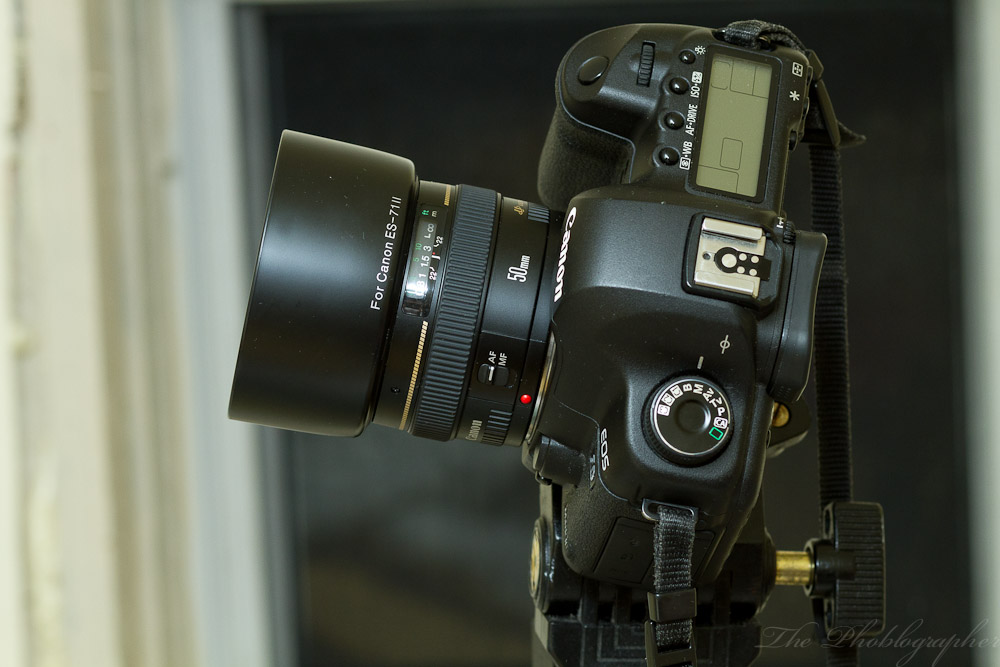 Beschietingen behuizing wanhoop Long Term Review: Canon 50mm f1.4 Lens - The Phoblographer