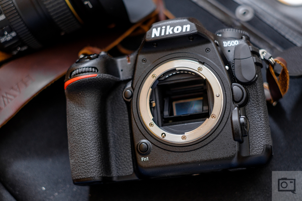 Nikon D500 Review