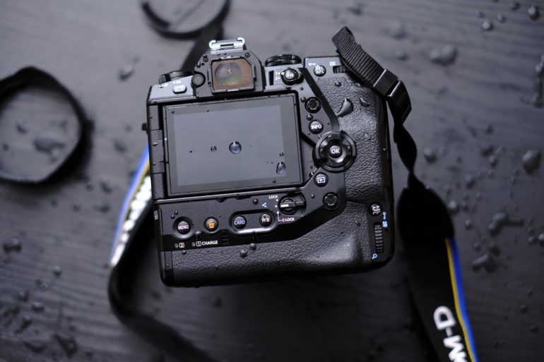 Review: Olympus OMD EM1X (Would Do This to a Camera?)