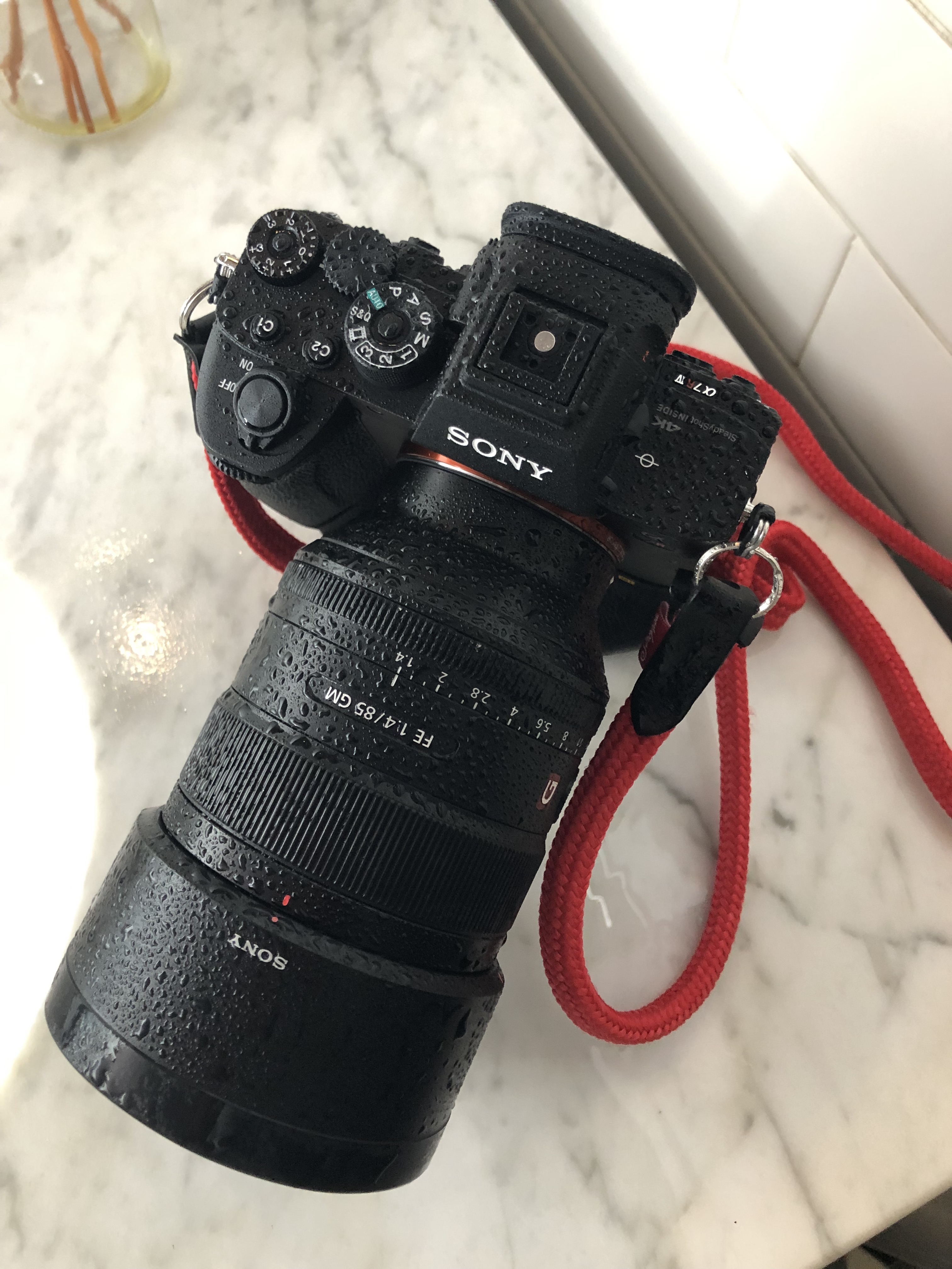 buiten gebruik Pool Concessie The Sony a7r IV Has Problems That Should Be Fixed in Time, We Hope