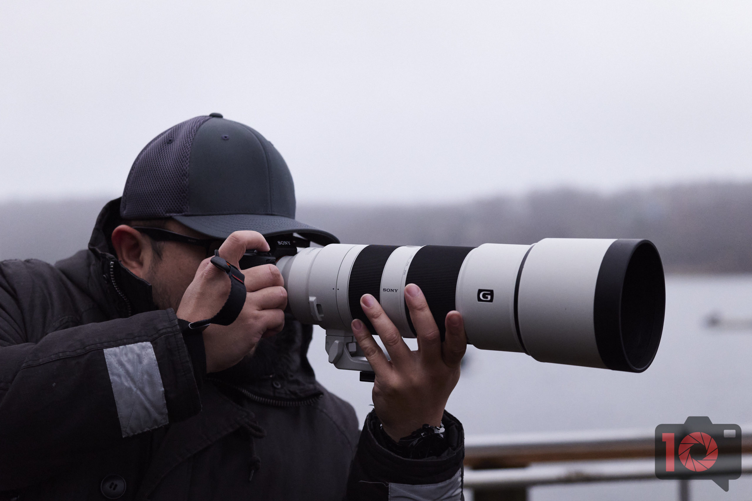 Sony A7RV and FE 200-600 F5.6-6.3 G OSS Lens Review - For the
