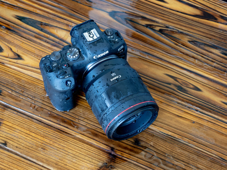 Canon EOS R6 long term review - Amateur Photographer
