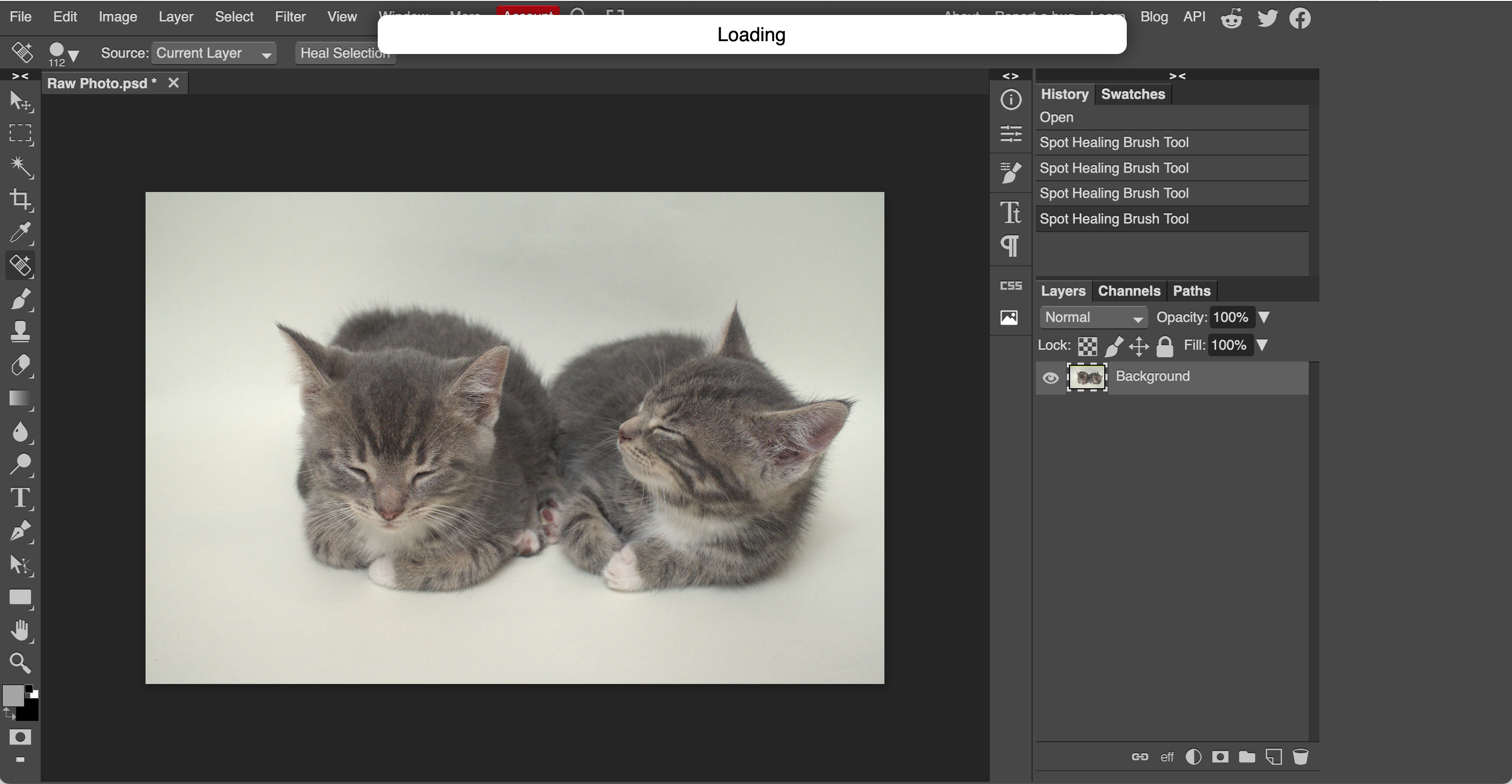 Photopea online image editor is a free Photoshop clone with