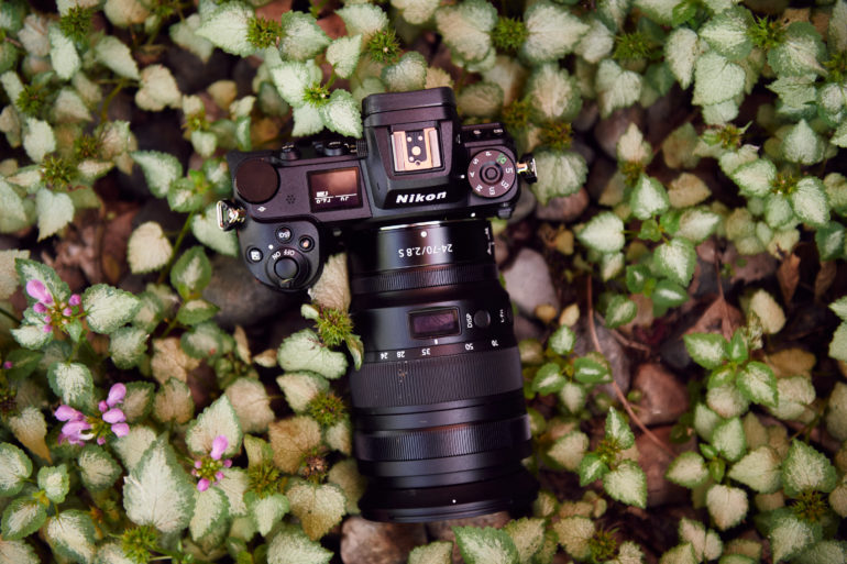I'm Falling in Like Slowly with the New Z7. A Nikon Z7 II Review