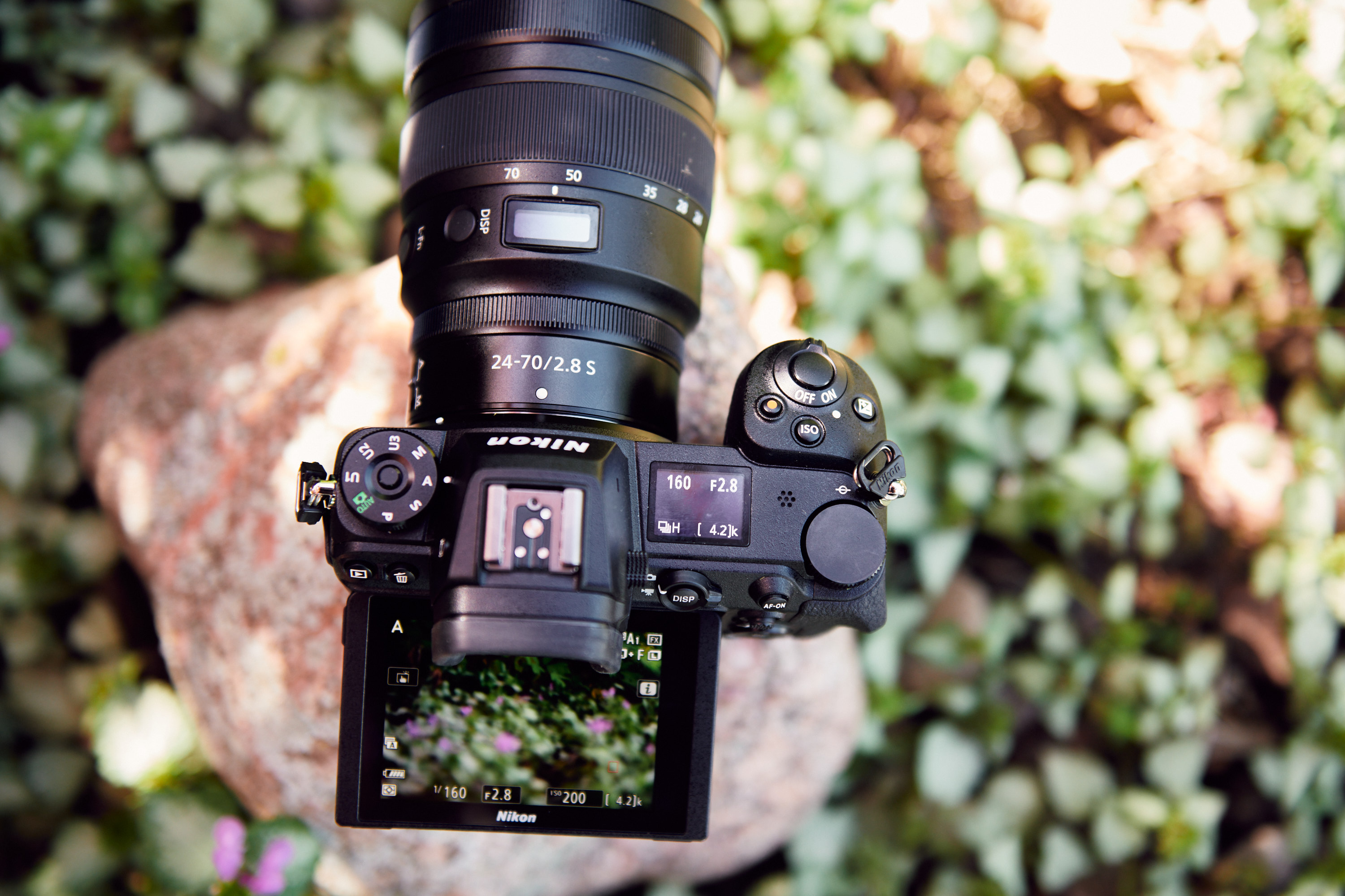 Review Update! The Nikon Z7 II Can Fix Weird Green Skin In-Camera