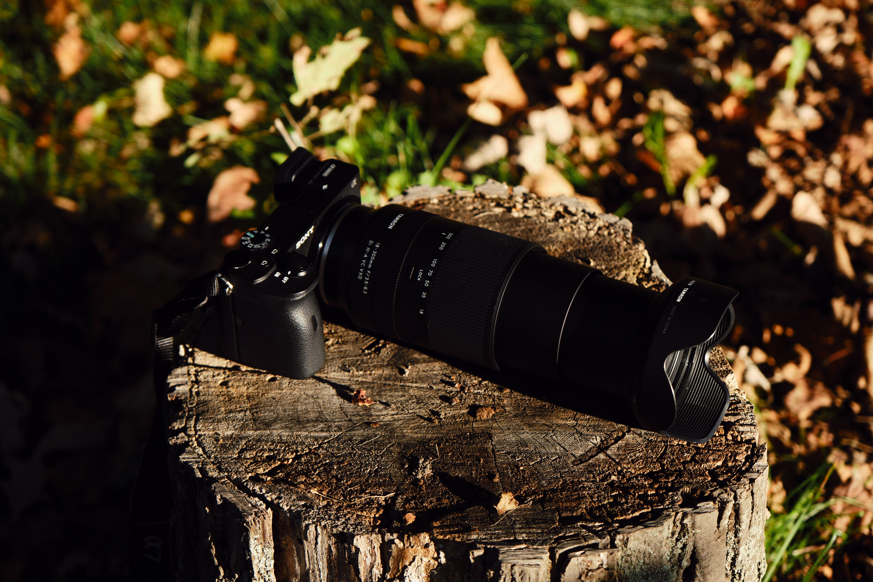 Tamron 18-300mm f3.5-6.3 Di III Review: A Kit on Steroids