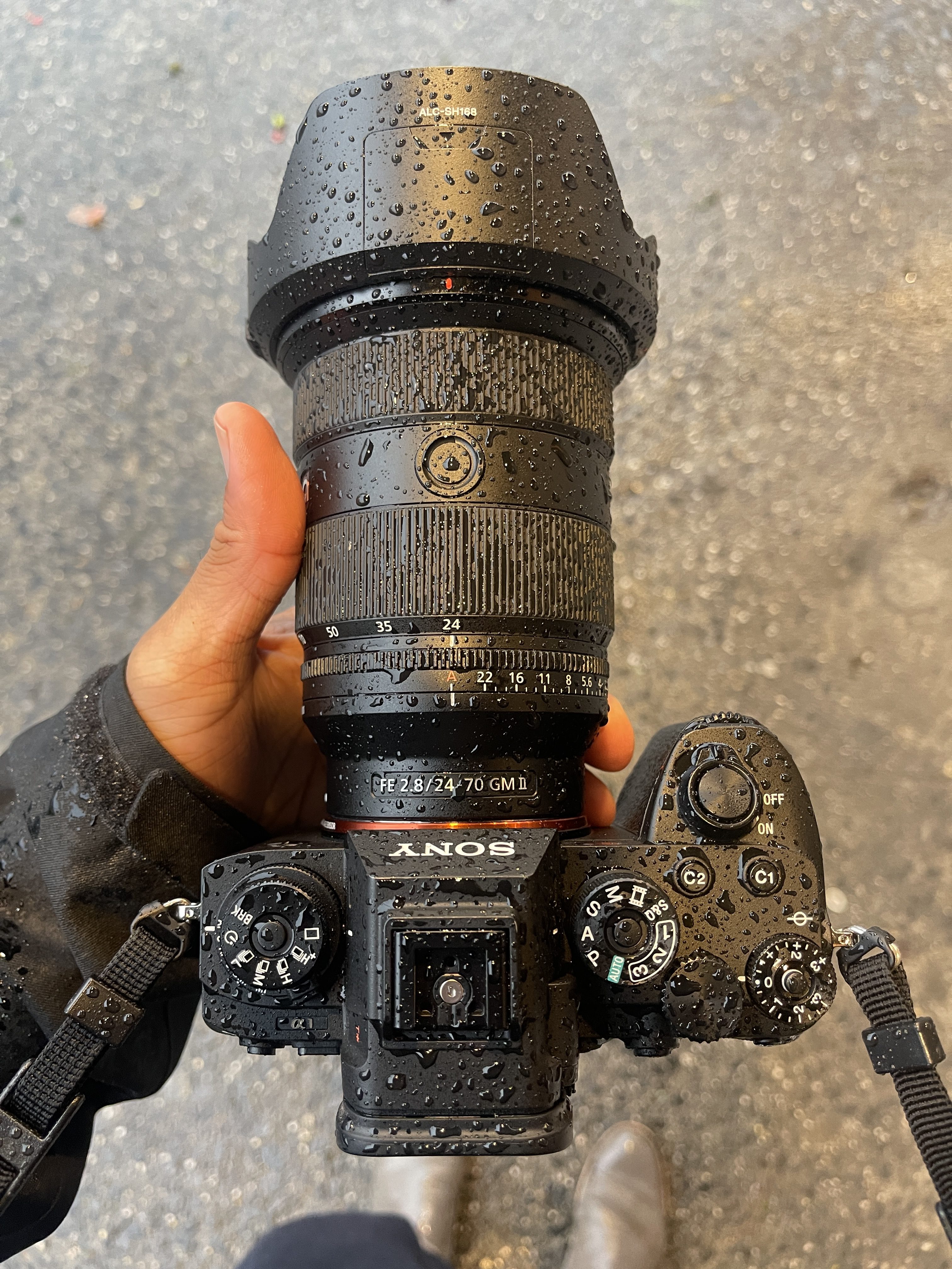 Sony 24-70mm f2.8 G Master II Review