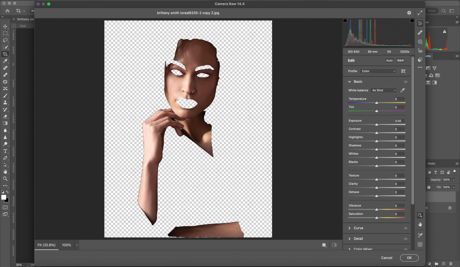 Retouch4me Skin Mask 1.019 download the new version for windows