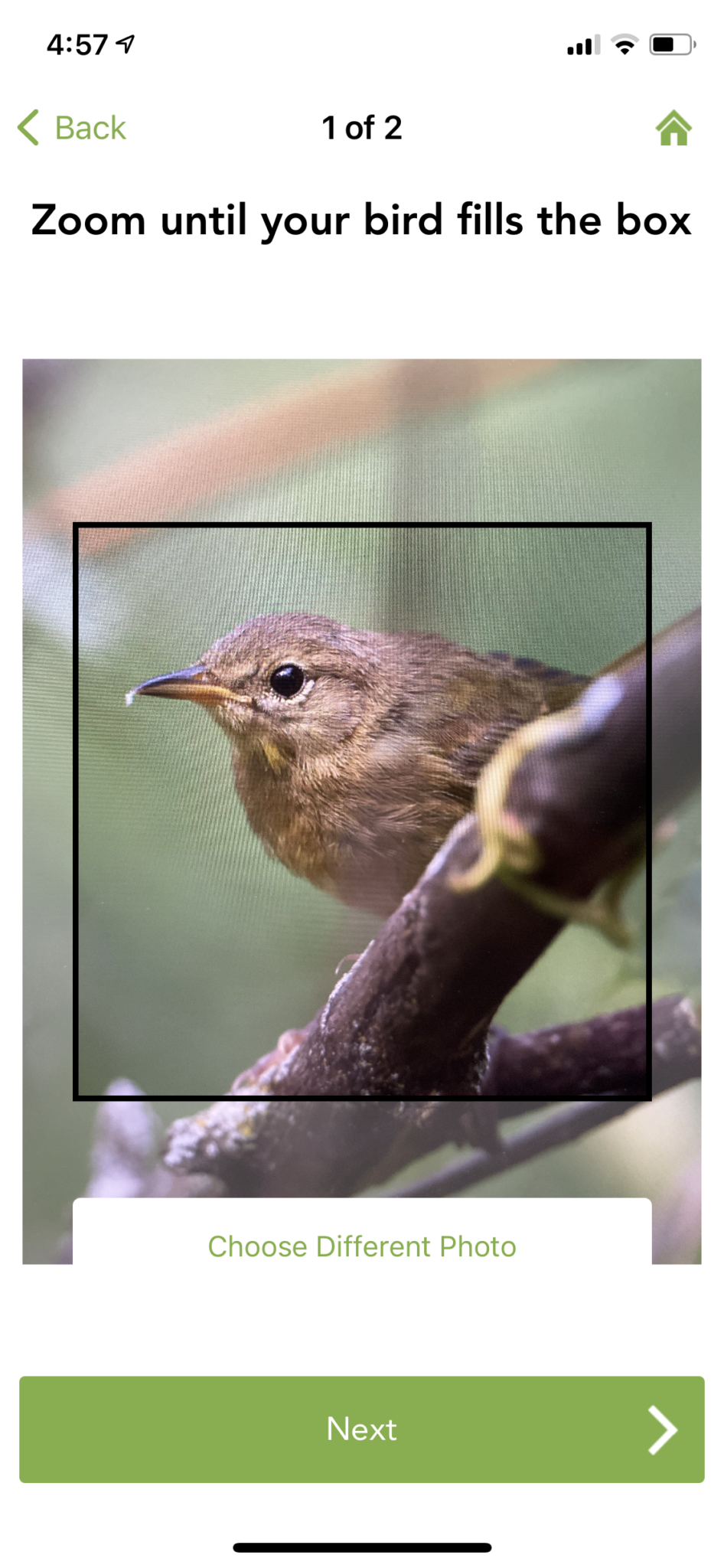 bird-photographers-go-download-this-free-bird-id-app-right-now