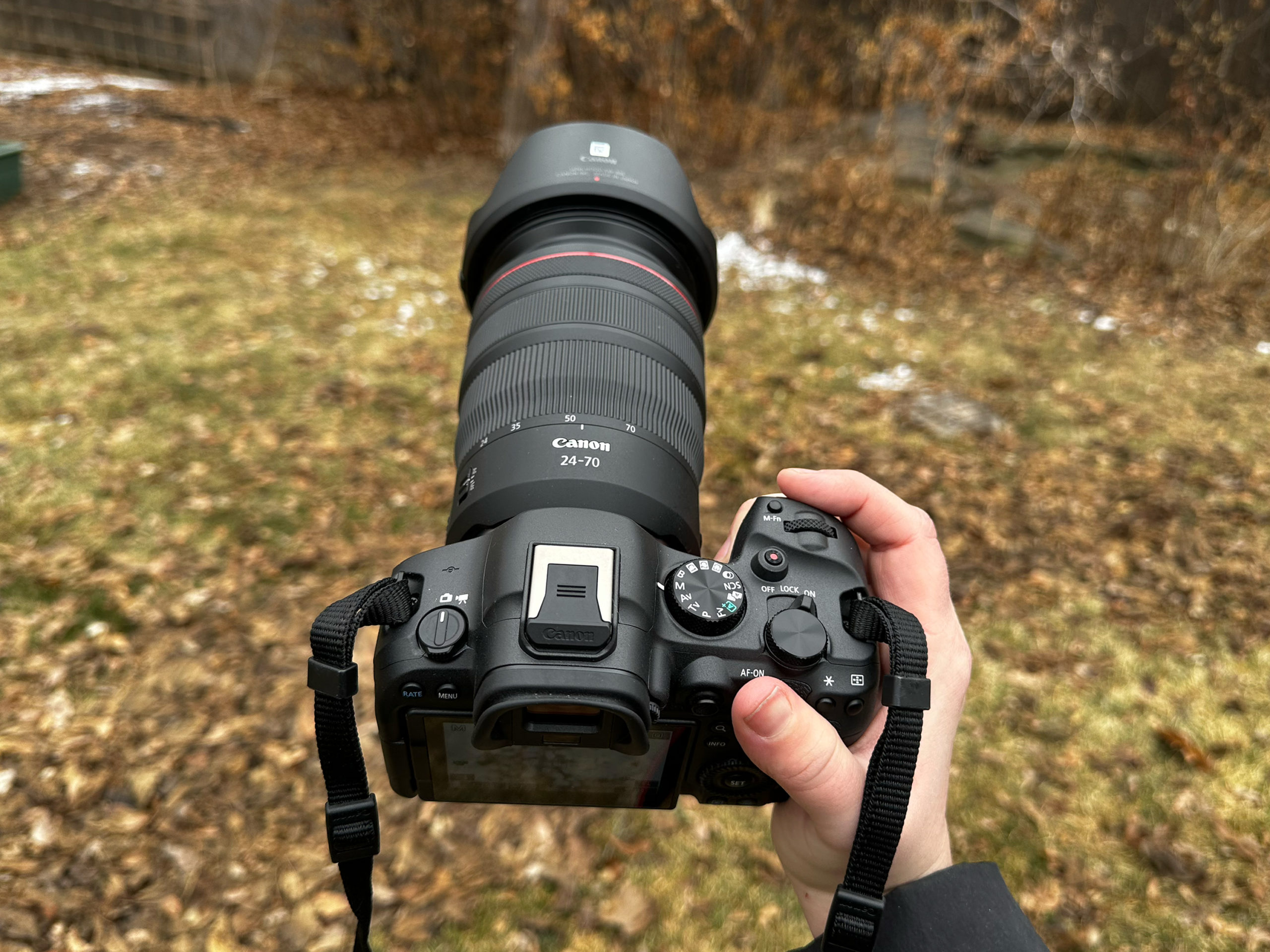 What's the Best Lens for the Canon R6 Mark II Under $1,000