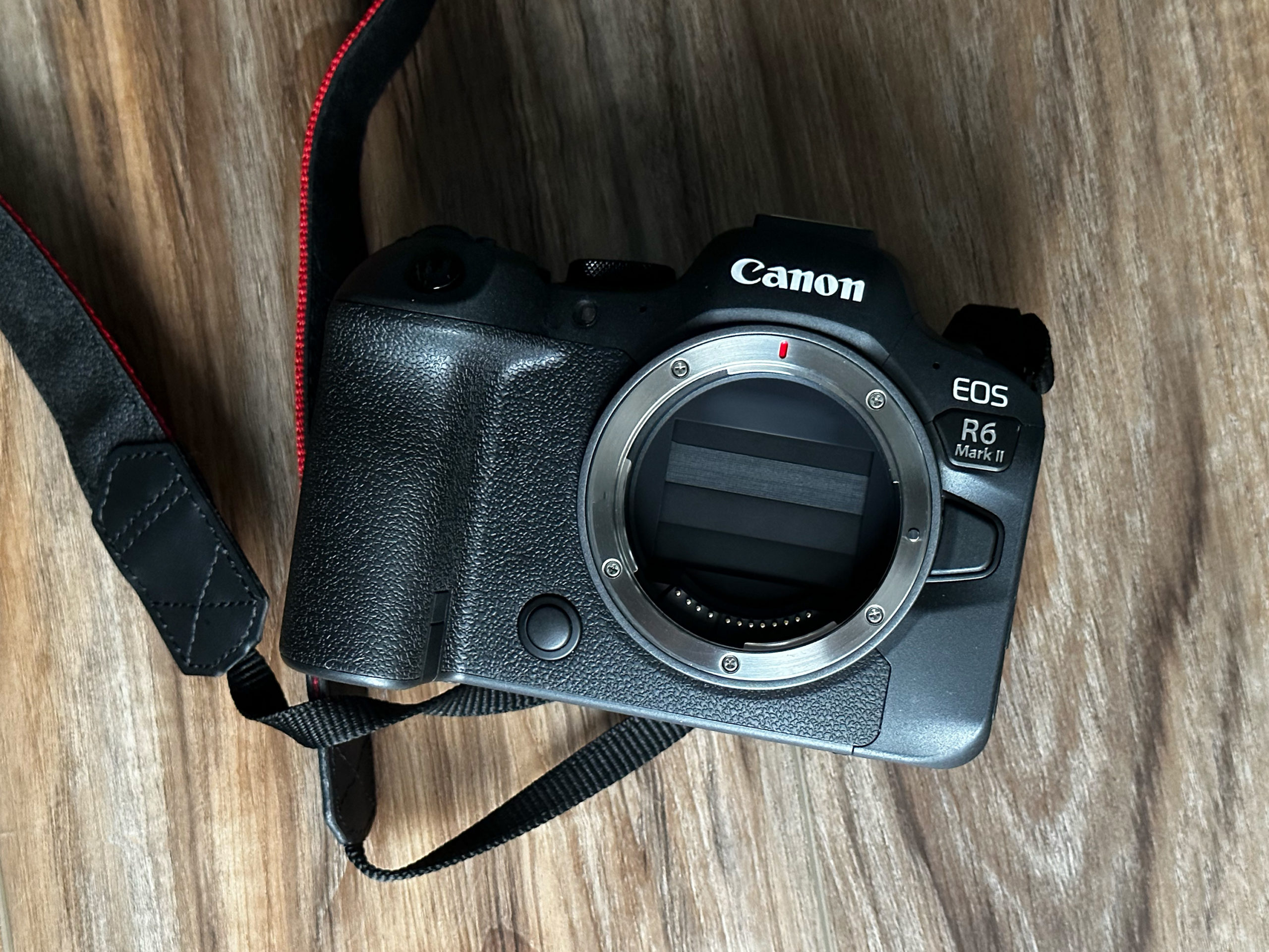 Best Flash for Canon R6 (and Mark ii)