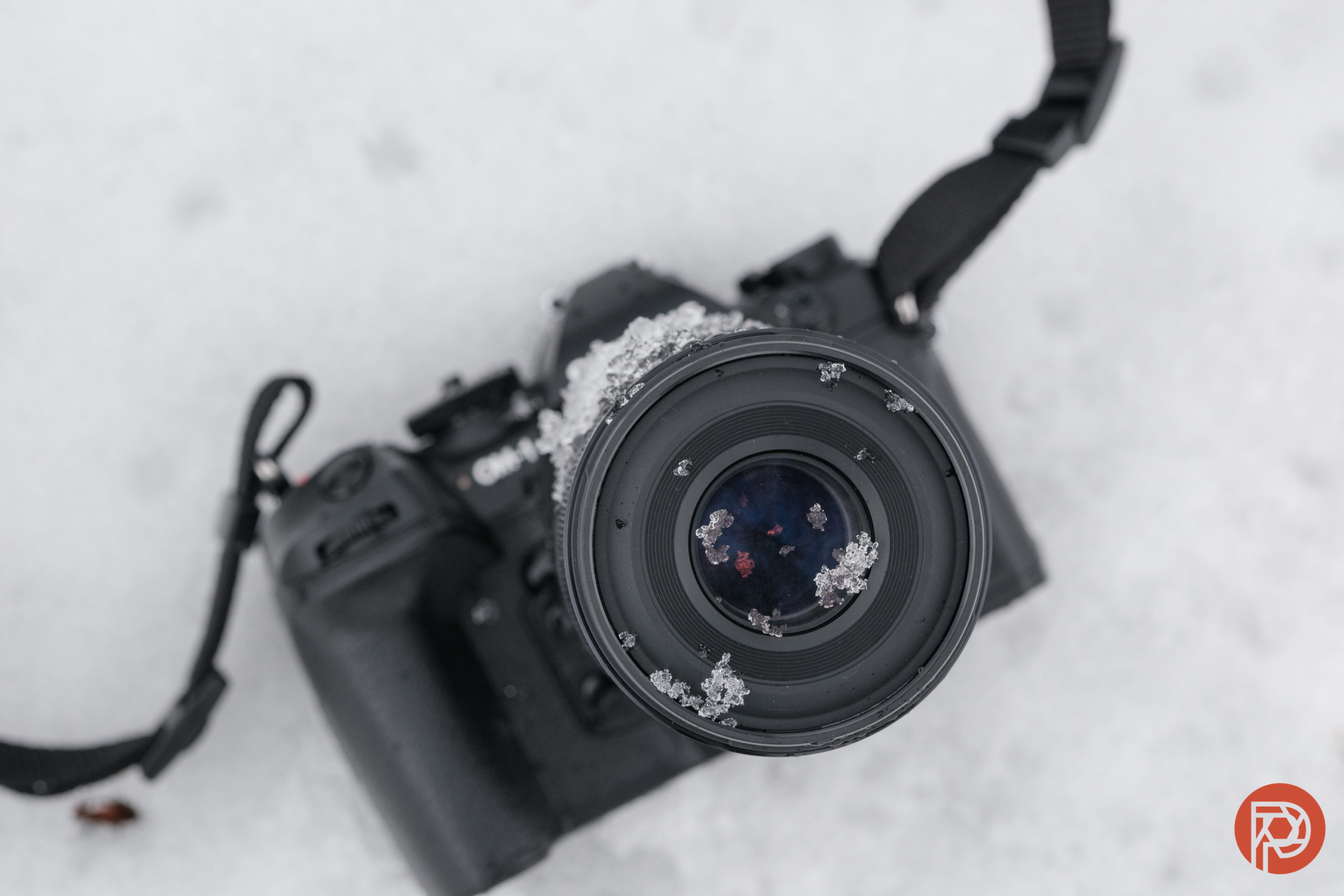 OM System 90mm F3.5 Macro IS Pro Review