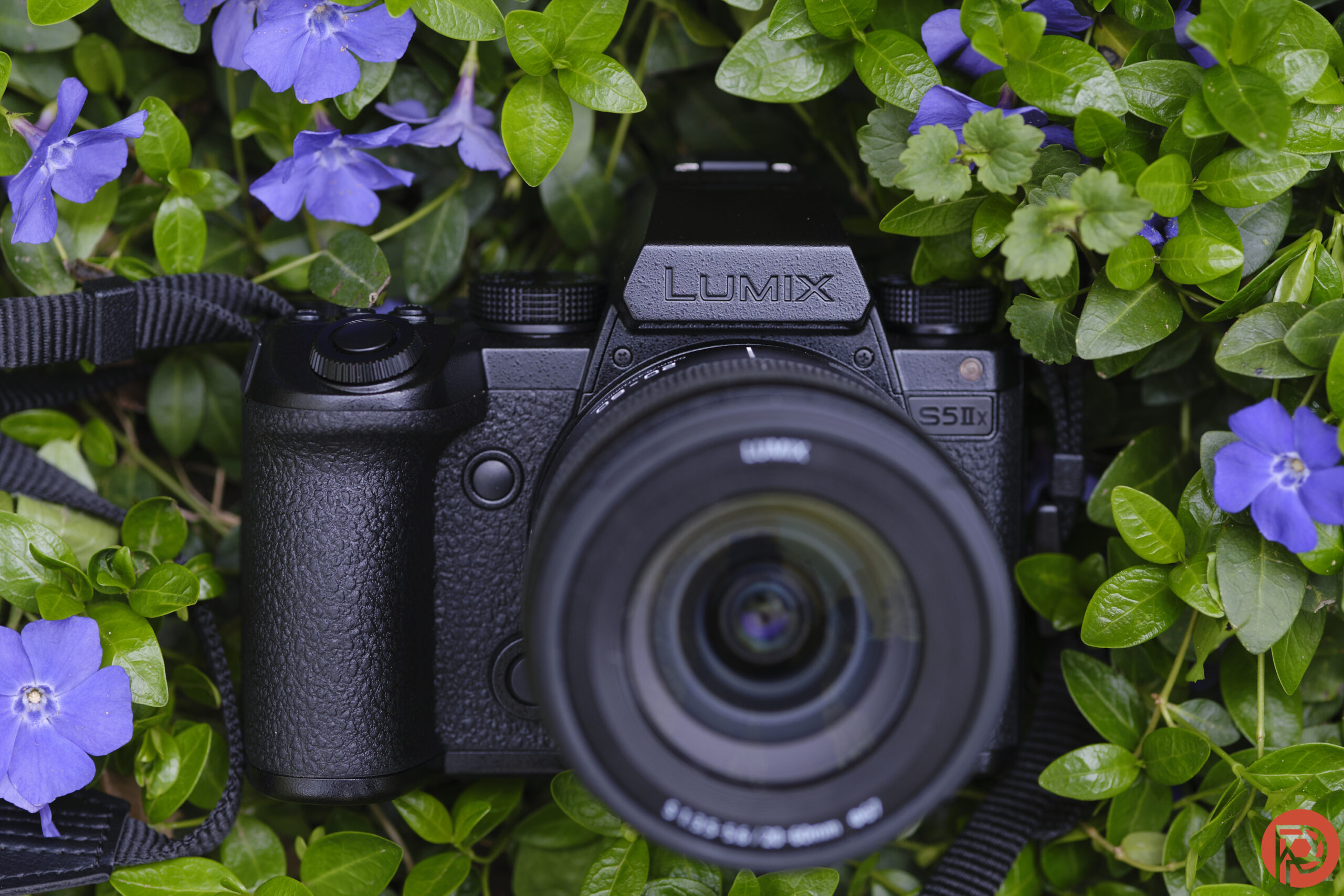 Panasonic S5 IIx Review: Black Out is Beautiful