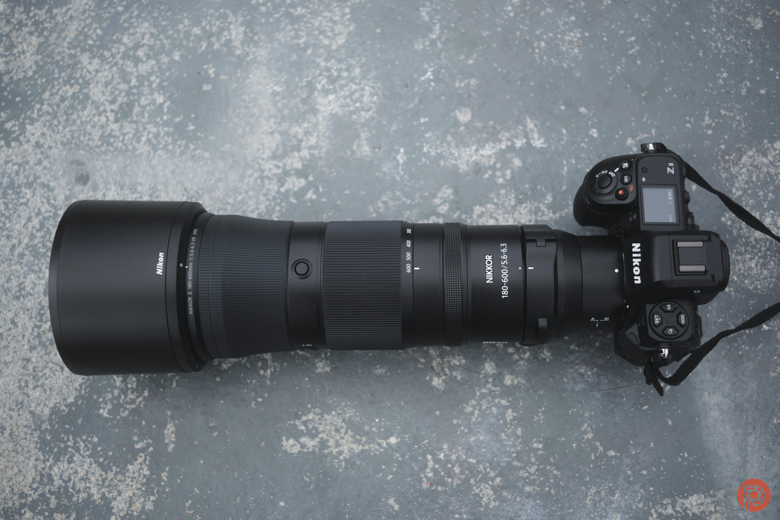 Nikon 180-600mm f5-6.3 VC First Impressions: The Lens You Want